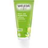 Citrus Hand- und Nagelcreme  50 ml