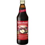 Rabenhorst Antioxidantien BIO 750 ml