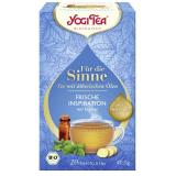 Yogi Tea Für die Sinne Pure Erfrischung, 2,0 gr, 2