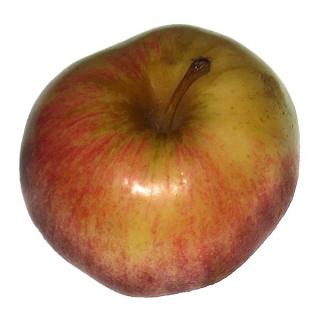 Apfel verschiedene Sorten