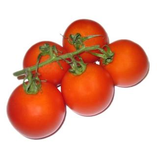 Tomate - Strauch
